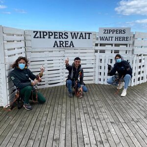 Zip Holland B.V. image 1