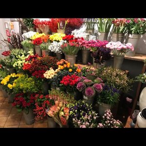 Bloembinderij van der Maat image 2