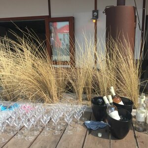 Wijn aan Zee image 1