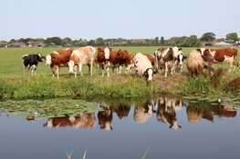 Kom naar de open dag van Zorgboerderij Suus