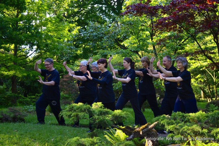 Tai Chi in Den Haag en Leiden