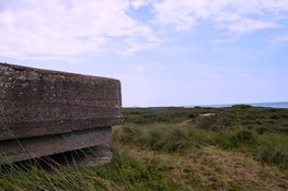 De koelste excursies voor jong en oud in Wassenaar