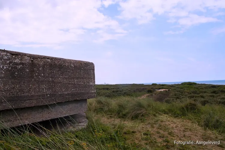 De koelste excursies voor jong en oud in Wassenaar