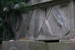 De koelste excursies voor jong en oud in Wassenaar