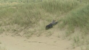 Wassenaar - Gezocht - Cold case 2004 onbekende dode vrouw Wassenaar