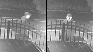 Wassenaar - Gezocht - Diefstal uit auto Prinsenweg Wassenaar