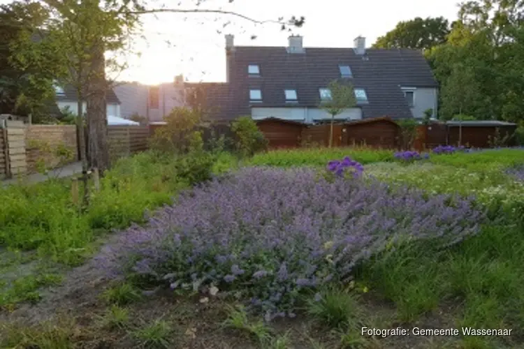 Feestelijke editie Wassenaar zijn we samen: wijktuin Dr. Duetzlaan wint Groene Paauw