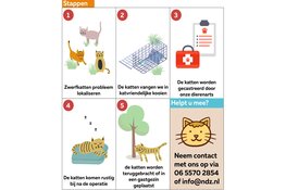 Zwerfkatten in Wassenaar