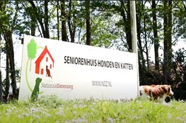 Inrichting gezocht voor Seniorenclub NDZ