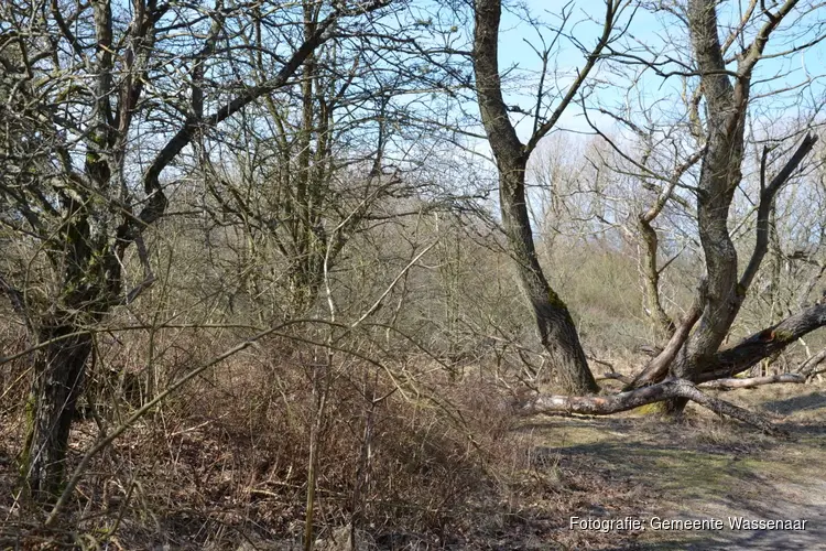 Onderhoud Wassenaarse parken en (park)bossen