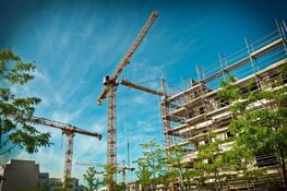 Hoe natuur beschermen ook leidt tot versnellen woningbouw