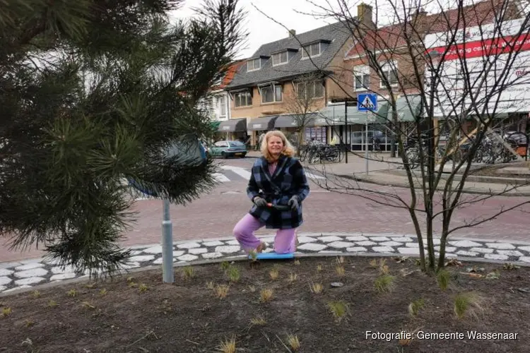 Wethouder Klaver opent nieuwe rotonde centrum Wassenaar
