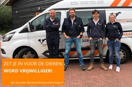 Haagse dieren zoeken jou!