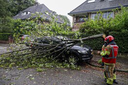 Storm in beeld: Poly zwaarste zomerstorm ooit gemeten