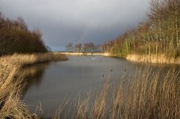 Wisselvalligheid houdt aan in eerste week augustus