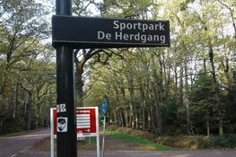 ADO Den Haag laat winst glippen op De Herdgang