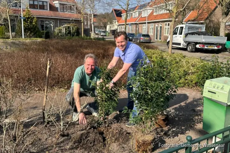 Startsein gegeven voor verbeteringen in Wassenaarse wijken