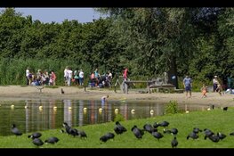 105 officiële zwemlocaties in Zuid-Holland