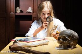 Subsidie voor betrekken van publiek bij archeologie opnieuw open in 2025