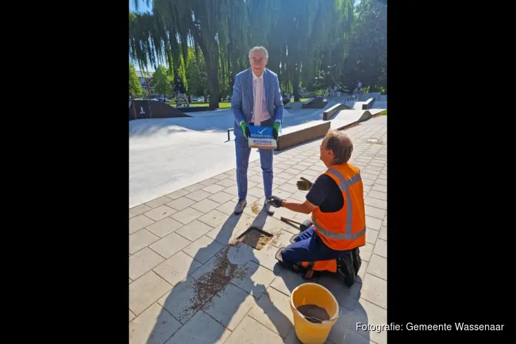 Skatepark in Wassenaar rookvrij verklaard