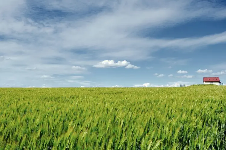 Samen bouwen aan een vitaal, authentiek en beleefbaar landschap