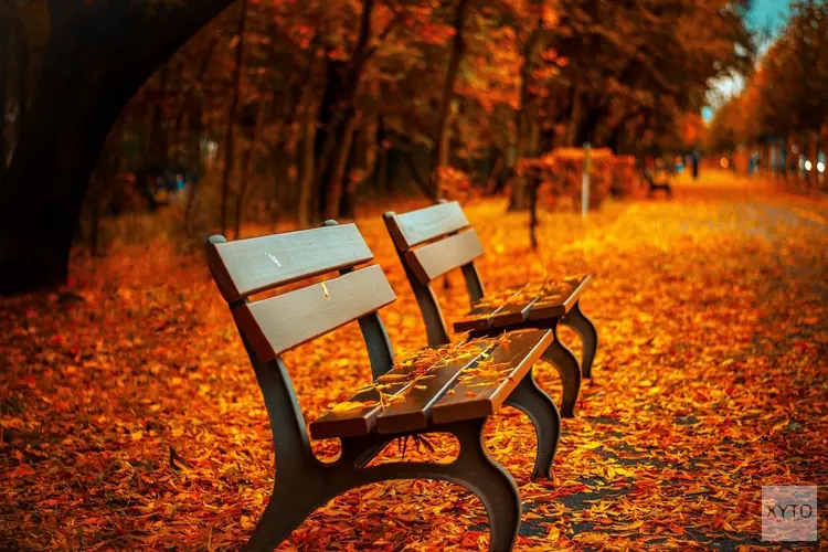 Intredende herfst zorgt voor wisselvallig weer