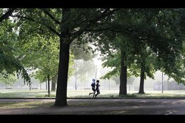 Zuid-Hollanders steeds minder actief: minder dan helft voldoet aan beweegrichtlijn