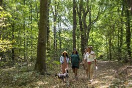 De natuur in? Zo ontdek je meer