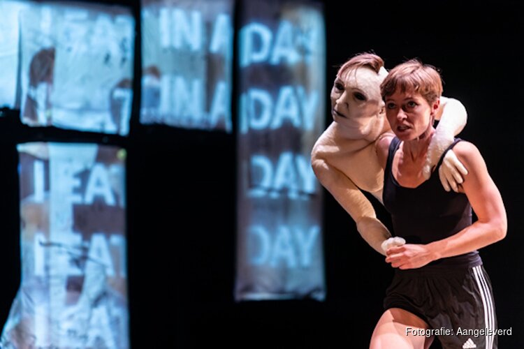 ‘Dis Order’ - naast indrukwekkend ook Theatervorm om te ontdekken